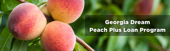 Peach Plus Loan Program 